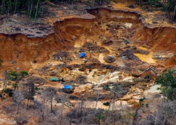 Amazonía. Minería ilegal.