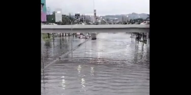 Autopista Francisco Fajardo. Foto captura de video.