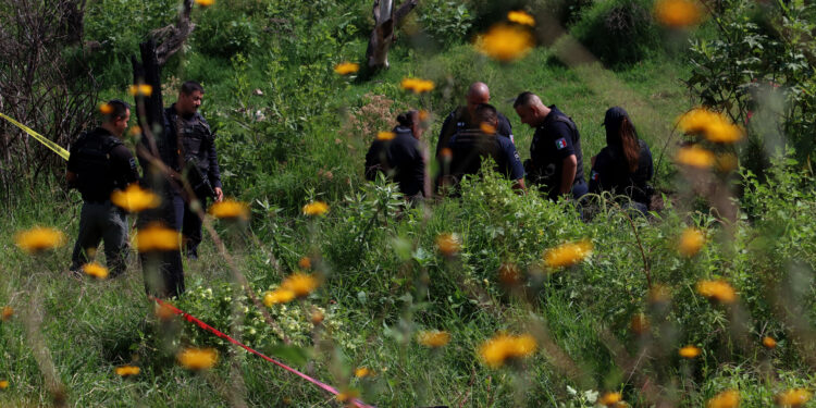 Municipal police work at the area where the civil organization "Search Mothers" of Jalisco located a clandestine crematorium with human remains in a ravine in Tlaquepaque, State of Jalisco, Mexico, on October 15, 2023. (Photo by ULISES RUIZ / AFP)