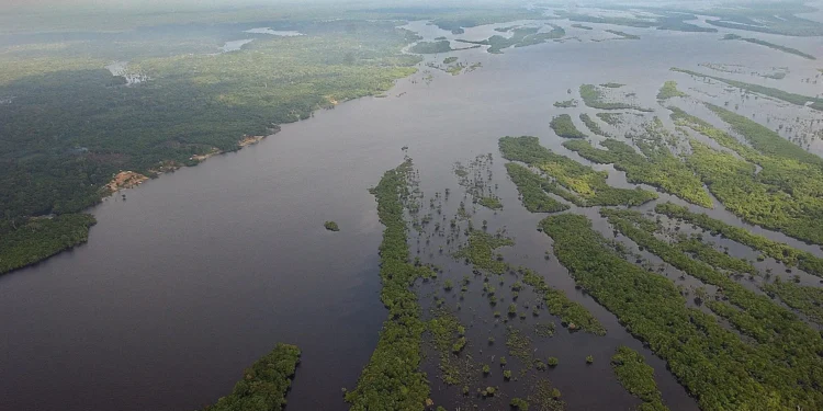 Amazonía