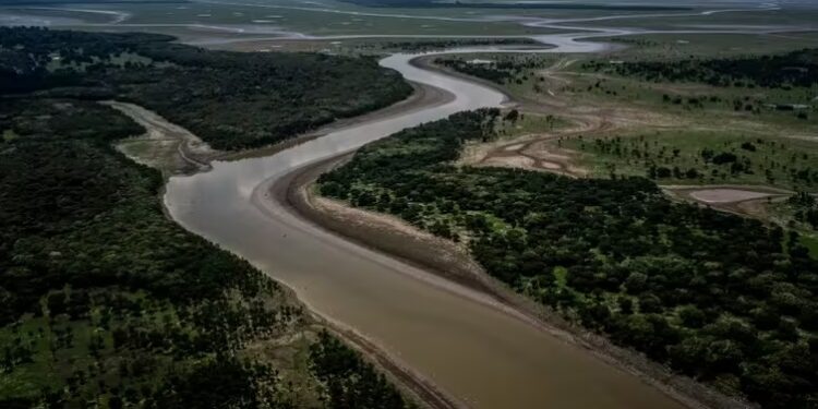 Imagen de archivo del Amazonas (Brasil) (EFE/Raphael Alves)