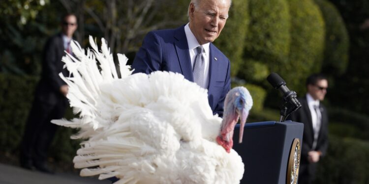 Washington (United States), 20/11/2023.- U.S. President Joe Biden pardons the National Thanksgiving Turkey during a ceremony on the South Lawn of the White House in Washington DC, USA, 20 November 2023. (Turquía) EFE/EPA/YURI GRIPAS / POOL