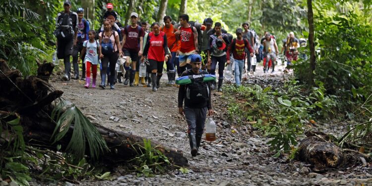 ACOMPAÑA CRÓNICA: CRISIS MIGRATORIA COLOMBIA - AME4011. TAPÓN DEL DARIÉN (COLOMBIA), 12/10/2022.- Migrantes caminan por una montaña con la intención de llegar a Panamá, el 8 de octubre de 2022, a través del Tapón del Darién (Colombia). "Dicen que Venezuela se está arreglando, pero mire cómo está", dice José Muñoz mientras señala a los cientos de compatriotas suyos que se acumulan en la frontera de Colombia con Panamá dispuestos a comenzar la travesía a Estados Unidos atravesando la peligrosa selva del Darién. Yacen en la playa, descansando y matando el tiempo mientras un barco tras otro zarpa del pueblo de Necoclí, en la costa Caribe, al otro lado del Golfo del Urabá donde en grupos entrarán a una selva montañosa en una ruta desangelada. EFE/ Mauricio Dueñas Castañeda