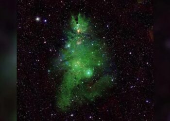 Una gran luz verde y estrellas brillantes conforman un árbol de Navidad cósmico en recientes imágenes de la NASA. (NASA)