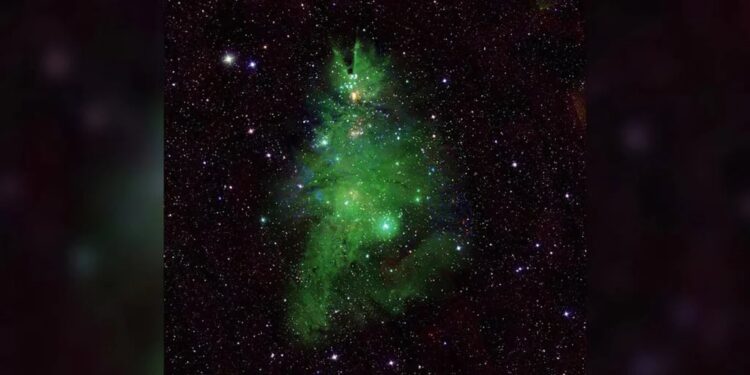 Una gran luz verde y estrellas brillantes conforman un árbol de Navidad cósmico en recientes imágenes de la NASA. (NASA)