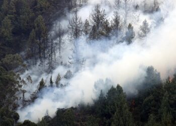 Incendios en Colombia. Foto agencias.