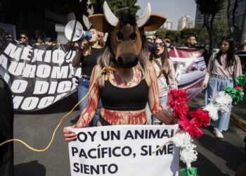 Anti-bullfighting protestors and members of different animal rights protection societes take part in a demonstration against bullfights in Mexico City on January 28, 2024. Activists were protesting this Sunday against the restart of bullfighting in Mexico City, after the Supreme Court revoked a suspension that prevented them from taking place. (Photo by Rodrigo Oropeza / AFP)