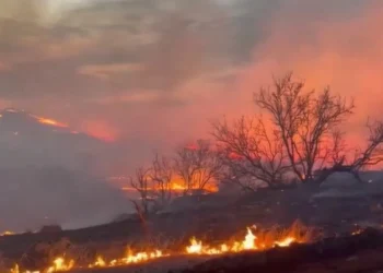 Incendios forestales Texas. EEUU. Foto agencias.
