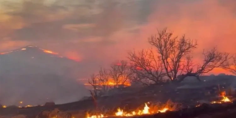 Incendios forestales Texas. EEUU. Foto agencias.