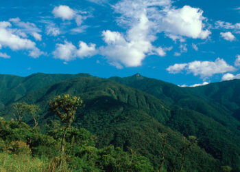 Podocarpus National Park High mountains in Loja Province Andes Mountains Ecuador