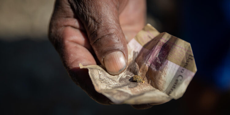 ACOMPAÑA CRÓNICA: VENEZUELA MINERÍA - AME890. LA PARAGUA (VENEZUELA), 22/03/2024.- Un hombre muestra partículas de oro a orillas del río La Paragua, el 23 de febrero de 2024, en La Paragua, estado Bolívar (Venezuela). En la orilla del río La Paragua, cuatro hombres lavan la tierra que recogieron durante el día en las calles del poblado homónimo del sur de Venezuela, en busca del oro que haya caído en el regreso de mineros ilegales, cuya tarea busca erradicar el Gobierno con la ejecución de miles de desalojos en las últimas semanas. Son barrenderos dedicados a una labor común en esta localidad, recientemente enlutada por la muerte de al menos 16 personas, víctimas de un derrumbe en la mina ilegal 'Bulla Loca', por el que resultaron heridas 36 personas más, según las autoridades. EFE/ Rayner Peña R.