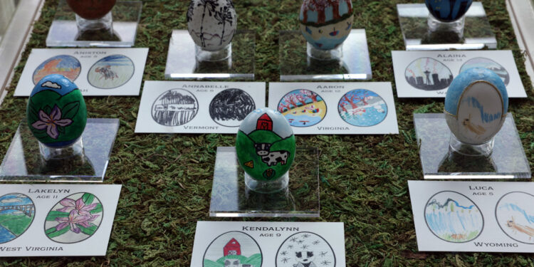 Los huevos de Pascua diseñados por estudiantes estadounidenses en la Casa Blanca, en Washington, EE.UU., el 6 de abril de 2023.
Alex Wong / Gettyimages.ru