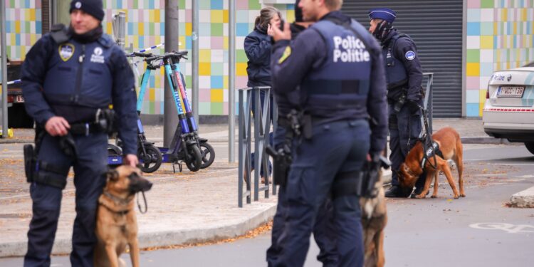 Brussels (Belgium), 17/10/2023.- Belgian police officers with dogs secure the area where the gunman is neutralised in Brussels, Belgium, 17 October 2023. A man, suspected of killing two Swedish football supporters on 16 October, was shot by the Police during an operation and has died, Belgian Police said. Following the incident, the Brussels Capital Region has increased its terror threat to level 4, the highest, the National Crisis Center announced. (Bélgica, Suecia, Bruselas) EFE/EPA/OLIVIER MATTHYS