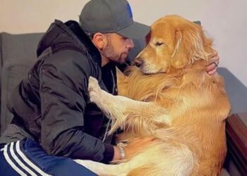 El perro Joca junto a su dueño João Fantazzini. Foto Imagen tomada de la cuenta en Instagram jfantazzini.