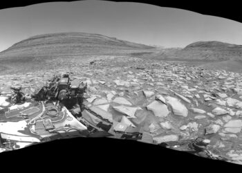 El rover Curiosity de la NASA capturó este panorama de 360 grados utilizando una de sus cámaras de navegación en blanco y negro el 3 de febrero de 2024.
NASA / JPL-Caltech