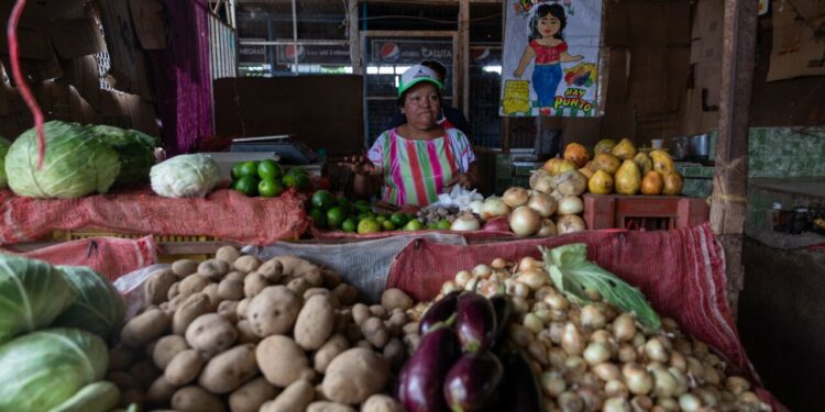 ACOMPAÑA CRÓNICA VENEZUELA ECONOMÍA / AME2728. SAN FELIX (VENEZUELA), 21/04/2022.- Una vendera espera clientes en su puesto de venta de frutas y hortalizas, el 31 de marzo, en el mercado municipal de San Félix, estado Bolívar (Venezuela). La falta de dinero en efectivo, la inflación superior a la media, el elevado precio del transporte y la acentuada brecha social rigen la economía de Bolívar, el estado minero de Venezuela en el que las riquezas naturales dejaron de reportar beneficios y convirtieron a la región en una burbuja donde todo es más caro que en el resto del país. EFE/ Rayner Peña R.