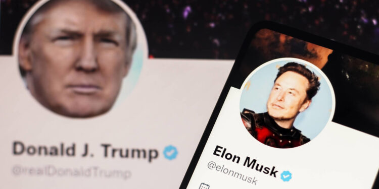 Imagen que muestra las cuentas de X del expresidente de EE.UU., Donald Trump, y Elon Musk.
XZoonar.Com / Legion-Media