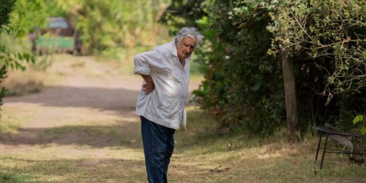 El expresidente de Uruguay José "Pepe" Mujica. | Foto: AP