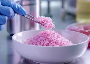 El arroz rosa promete ser una alternativa proteica nutritiva y sostenible con menor huella de carbono que la carne de vaca - (Imagen Ilustrativa Infobae)