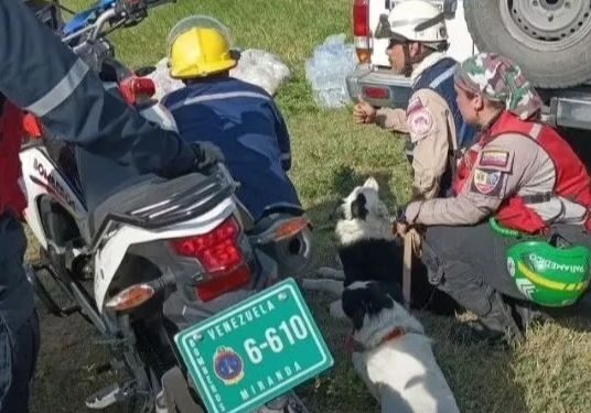 quipo Canino de Intervención de Desastres