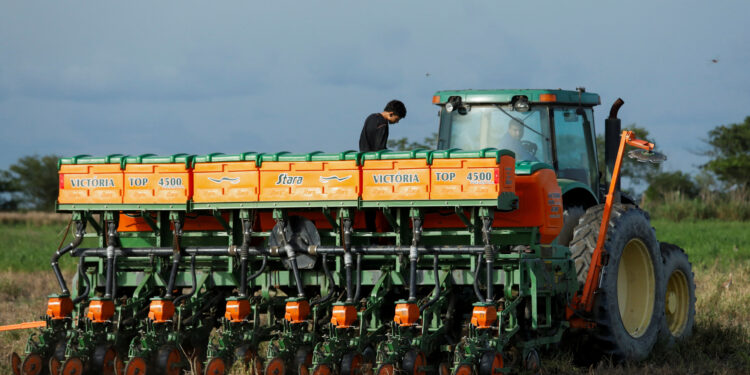 Farmers work for sowing a corn field, in Turen, Portuguesa State, Venezuela June 27, 2024. REUTERS/Leonardo Fernandez Viloria