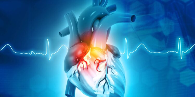 Anatomy of Human Heart on science background. 3d render