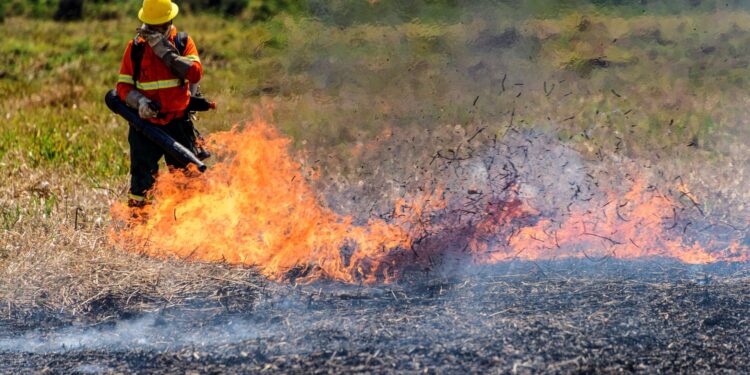 Un bombero trabaja en la extinción de incendios en la región del Pantanal (Brasil). Archivo. EFE/ Rogerio Florentino