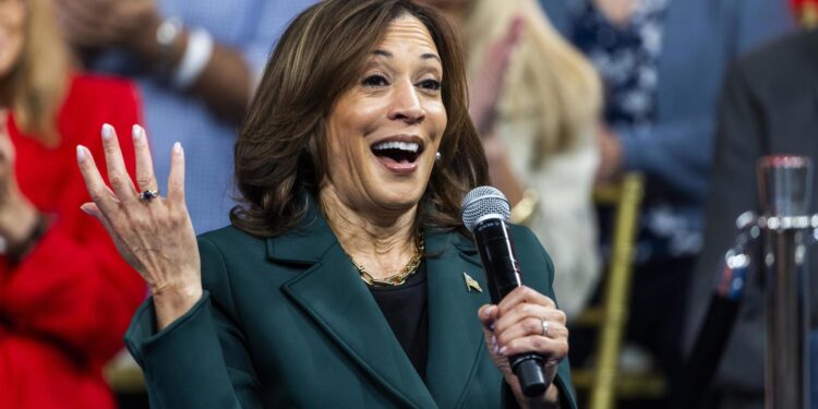 Malvern (United States), 21/10/2024.- US Vice President and Democratic presidential candidate Kamala Harris speaks with former Republican Congresswoman Liz Cheney (not pictured) during a Harris presidential campaign event in Malvern, Pennsylvania, USA, 21 October, 2024. Harris and her Republican rival, former US President Donald Trump, are campaigning across the swing state of Pennsylvania in the closing weeks of the presidential election. EFE/EPA/JIM LO SCALZO