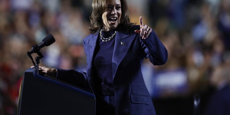 East Lansing (United States), 03/11/2024.- Democratic presidential candidate US Vice President Kamala Harris speaks during a Get Out the Vote rally in East Lansing, Michigan, USA, 03 November 2024. Vice President Harris and Republican candidate former President Trump are tied in the polls with two days until the election on 05 November EFE/EPA/CJ GUNTHER