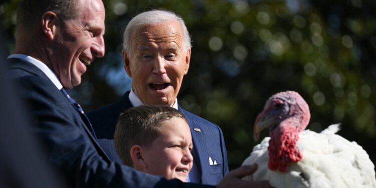 US President Joe Biden pardons Peach, the National Thanksgiving Turkey, alongside Chair of the National Turkey Federation John Zimmerman and his son Grant during an event on the South Lawn of the White House in Washington, DC, on November 25, 2024. - The sparing of the wattle adorned gobbling poultry became tradition in 1989 when US President George HW Bush said, "But let me assure you, and this fine tom turkey, that he will not end up on anyone's dinner table, not this guy -- he's granted a Presidential pardon as of right now and every US President since then has continued the act of mercy. (Photo by Drew ANGERER / AFP)