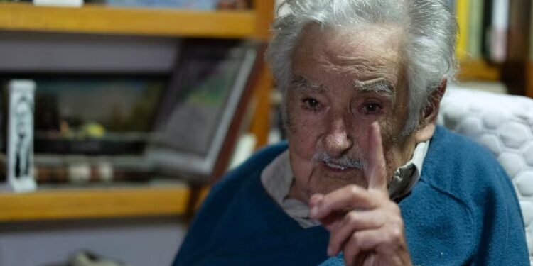 José Mujica brindó una entrevista en su chacra en Montevideo (Eitan ABRAMOVICH/AFP)