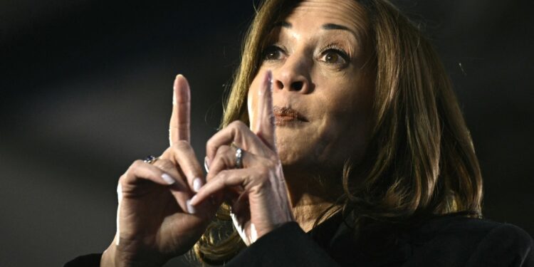 US Vice President and Democratic presidential candidate Kamala Harris gestures as she speaks during a "Get Out The Vote" community event at Little Chute High School in Little Chute, Wisconsin, November 1, 2024. (Photo by Brendan SMIALOWSKI / AFP)