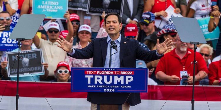 El senador cubanoamericano Marco Rubio habla en un acto de campaña del presidente electo Donald Trump, el 9 de julio de 2024 en Doral, Florida. PEDRO PORTAL pportal@miamiherald.com