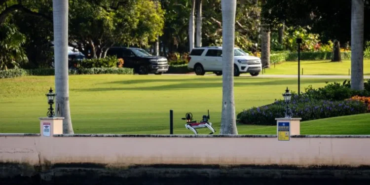 Un perro robot patrulla Mar-a-Lago, la residencia del presidente electo de Estados Unidos, Donald Trump, el 8 de noviembre de 2024, en Palm Beach, Florida. (Eva Marie Uzcategui/Getty Images)