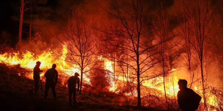 Fotografía de archivo que muestra a personas combatiendo un incendio forestal en Intiyaco, cerca de Villa Berna, en la provincia de Córdoba (Argentina). EFE / STR