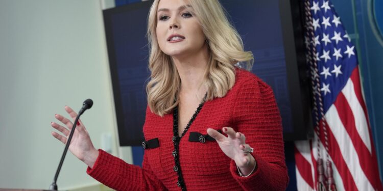 Washington (Usa), 31/01/2025.- White House Press Secretary Karoline Leavitt speaks during a press briefing at the White House in Washington, DC, USA, 31 January 2025. EFE/EPA/YURI GRIPAS / POOL